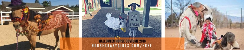 Three pictures of different horse costumes. First is a horse dressed up as a witch. Second is a horse and a girl dressed up a chicken and cow. Third is a woman, horse in 101 Dalmatian costumes.