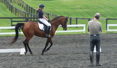 this is me and my horse cobalt at shady stables