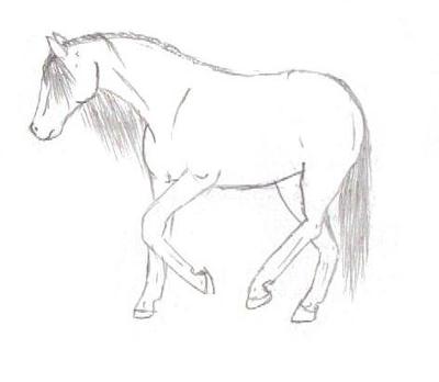 A pencil drawing of a horse walking.