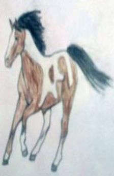 A drawing of a brown and white paint horse cantering.