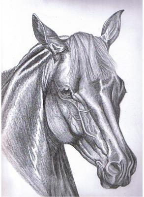 detailed horse head