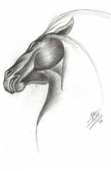 A pencil horse head drawing with an abstract look.