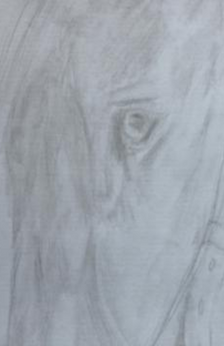 A pencil drawing of a horse head with a bridle on.