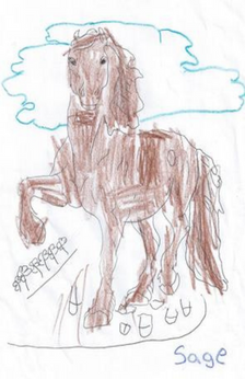 A drawing of a horse walking. The drawing is in color with the horse being mainly brown with some white and black in its coat.