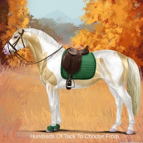 A palomino and white paint horse standing in a field during fall. The trees in the background and grass are changing color. The horse is wearing a green saddle pad and english style tack.