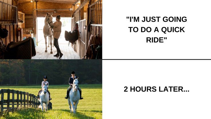 Two pictures and two sets of text first image and text shows girl with horse and says I'm just going to do a quick ride. Second image shows people riding with text 2 hours later...