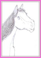 A pencil drawing of a horse head.