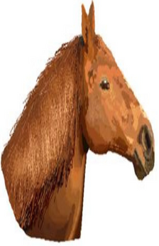 An digital drawing of a chestnut horse head.  Only the horse's head and neck are drawn.