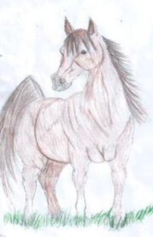 An drawing of a bay horse with out black markings standing in green grass. The horse is looking off towards the side. The artist's signature is in the bottom right hand corner.
