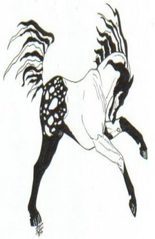 An black and white drawing of an Appaloosa horse putting its head towards the ground and picking its front feet off the ground as if it is about to buck.