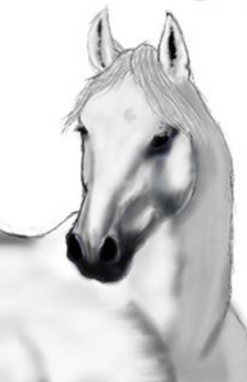 A digital drawing of a white horse with a black muzzle. Only the horse's head, chest, upper back, and neck are drawn.