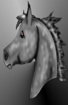 An digital drawing of dapple grey horse head. The background is also grey. The drawing is a side view of the horse's head.