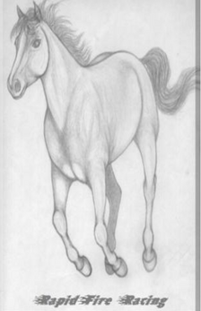 An pencil drawing of a horse galloping. The horse has a white stripe. The words 'rapid fire racing' at the bottom of the drawing.