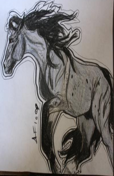 A drawing of a horse done with a pencil. The horse is in motion and facing away from the observer. There is some writing that can't be read near the horses front legs.