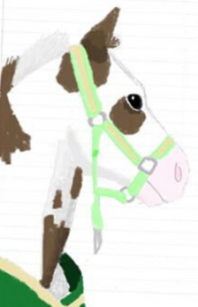 A digital painting of a brown and white paint horse wearing a green and cream cooler and a green and yellow halter. Only the horse's head and neck are drawn.