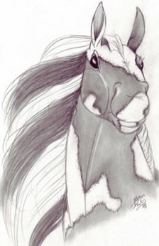 A pencil drawing of a horse's head with the horses mane flowing out towards the side. The horse is a paint horse and the mane has stripes throughout. Only the horse's head and neck are drawn.