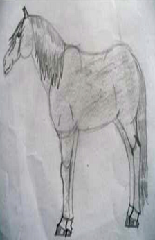 An pencil drawing of a horse standing square.
