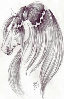 A pencil drawing of a horse's head and neck. The horse appears to be wearing a headband of some sort. The artist's signature is near the bottom center of the drawing.