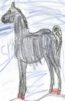 A black horse with red hooves named Sky standing on a hill. The sky is blue and the word 'sky' appears on the left, middle portion of the drawing.