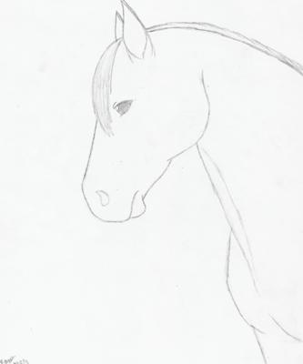 horse head study