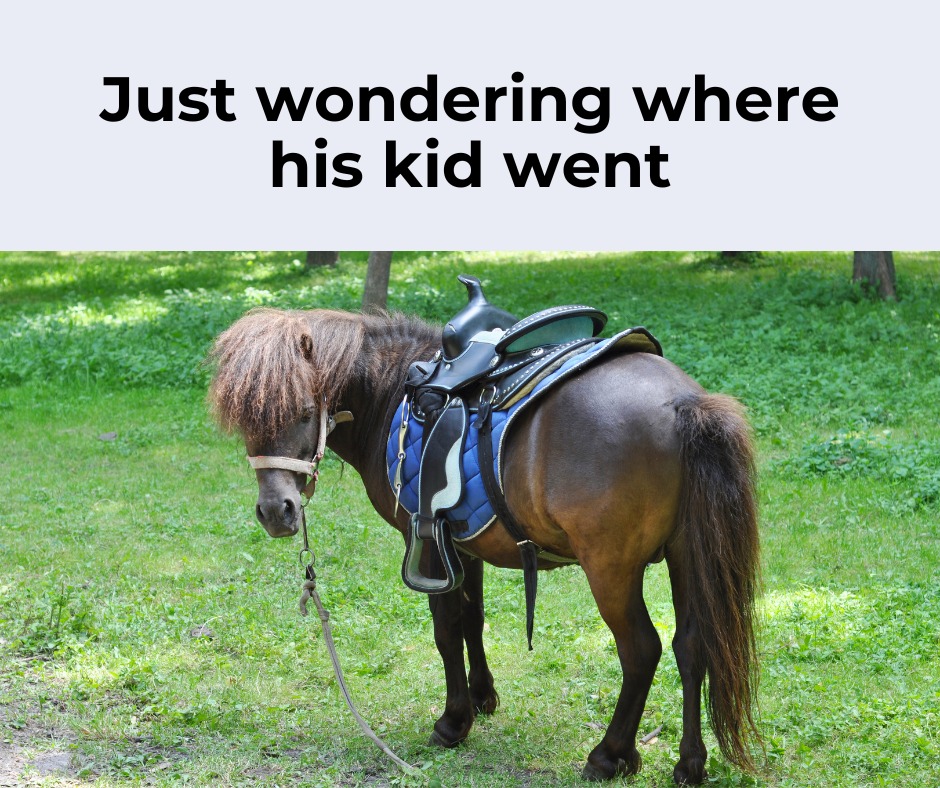 Text