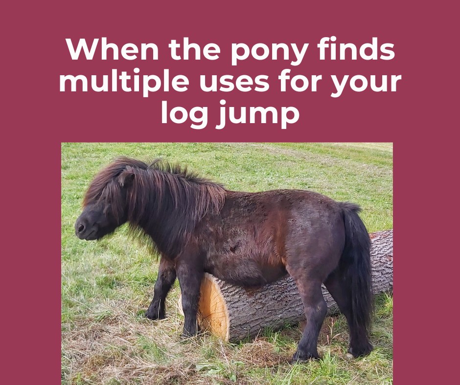 Text