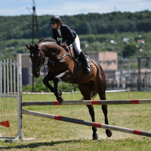 Horse jumping with a rider