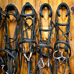 Bridles hanging up