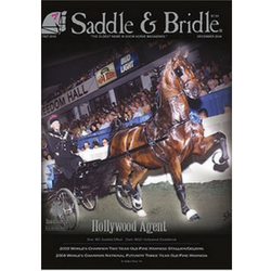 A picture of the Saddle & Bridle magazine cover.