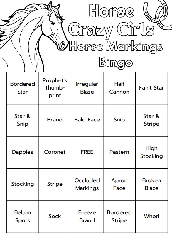 Horse Markings Bingo Card