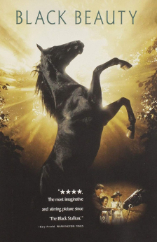 A picture of the movie Black Beauty.