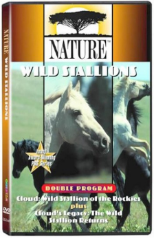 A picture of the movie Cloud: Wild Stallion of the Rockies.