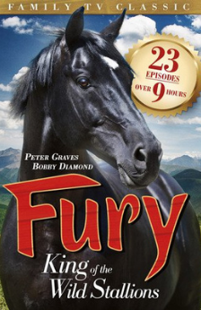 A picture of the TV show Fury, King of the Wind Stallions.