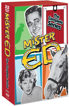 A picture of the TV show Mister Ed.