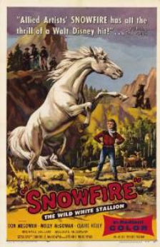 A picture of the movie Snowfire.
