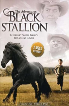 A picture of the TV Series The Black Stallion.