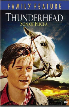 A picture of the movie Thunderhead: Son of Flicka.