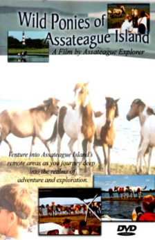 A picture of the movie Wild Ponies of Assateague Island.