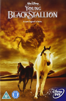 A picture of the movie Young Black Stallion.