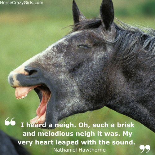 A picture of a horse neighing with the quote "I heard a neigh. Oh, such a brisk and melodious neigh it was. My very heart leaped with the sound." - Nathaniel Hawthorne