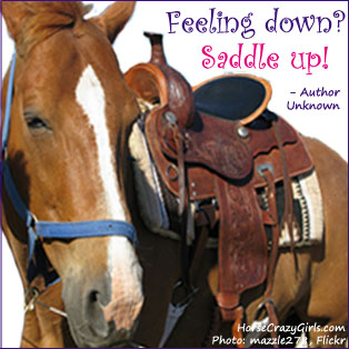 A picture of a horse wearing a western saddle with the quote "Feeling down? Saddle Up!" - Author Unknown