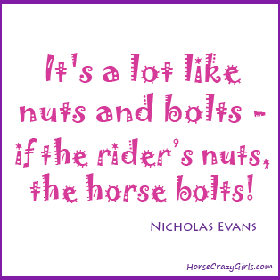 A picture of the quote "It's a lot like nuts and bolts-if the rider's nuts, the horse bolts!" - Nicholas Evans