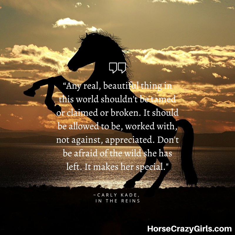 “Any real, beautiful thing in this world shouldn't be tamed or claimed or broken. It should be allowed to be, worked with, not against, appreciated." ~Carly Kade