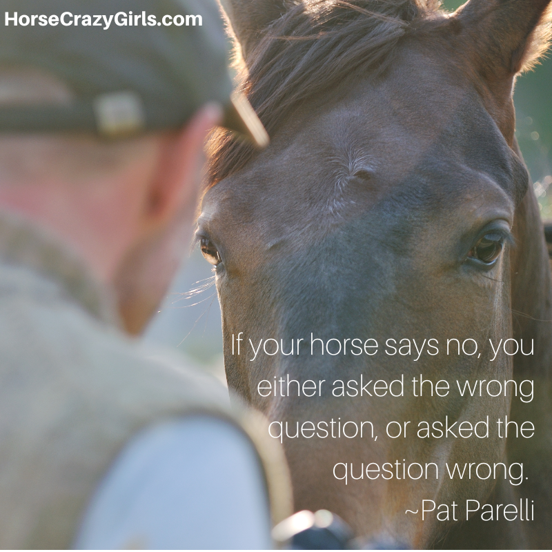 A picture of a man and a horse with the quote "If your horse says no, you either asked the wrong question, or asked the question wrong." ~Pat Parelli