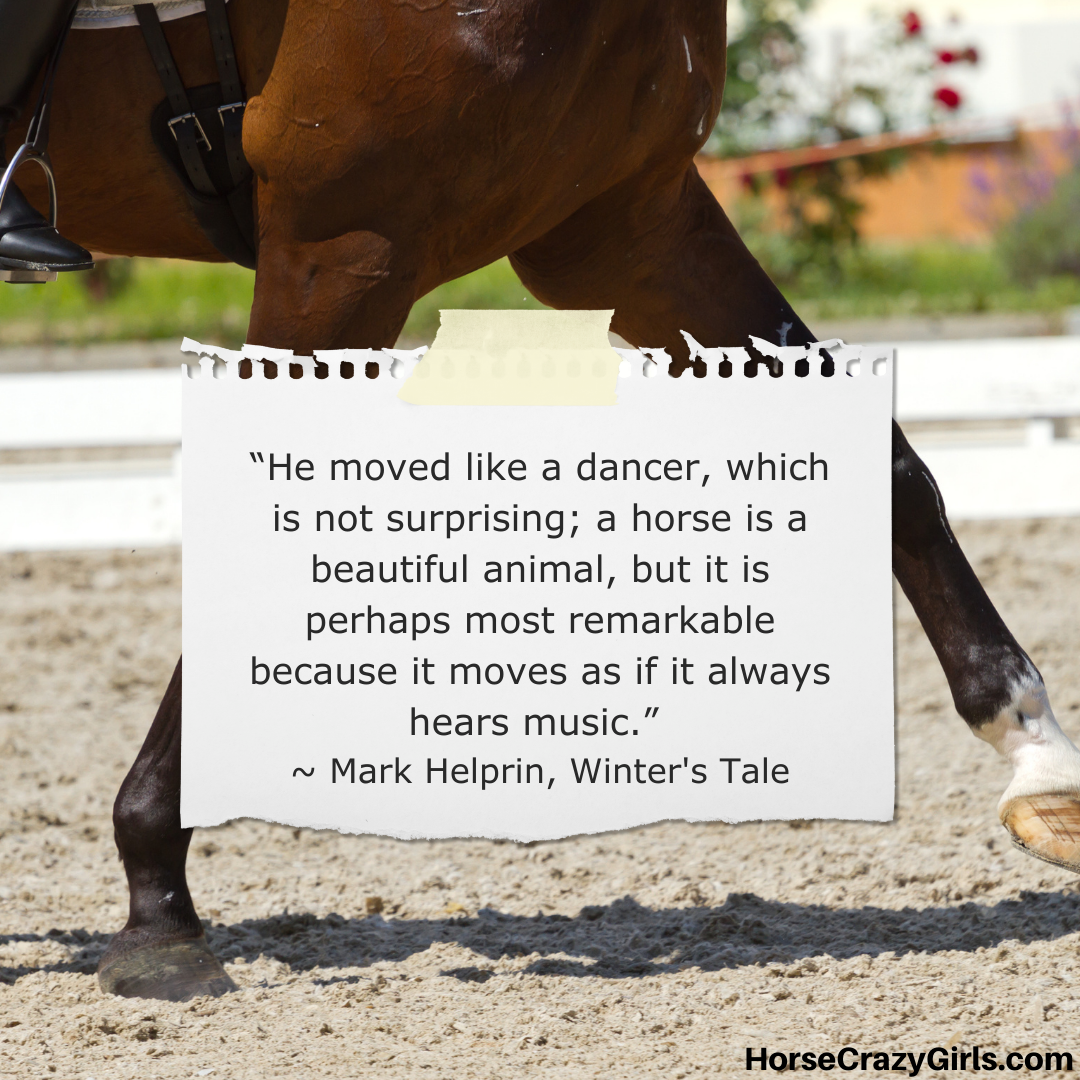 “He moved like a dancer, which is not surprising; a horse is a beautiful animal, but it is perhaps most remarkable because it moves as if it always hears music.” ~Mark Helprin, Winter's Tale