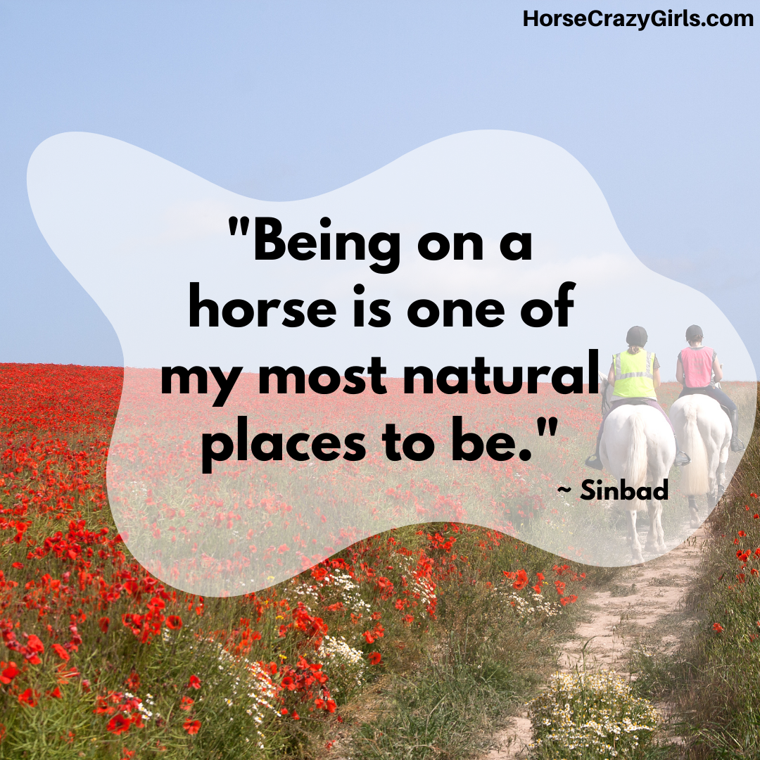 A picture of two people riding two horses in a field of red flowers with the quote "Being on a horse is one of my most natural places to be." ~ Sinbad