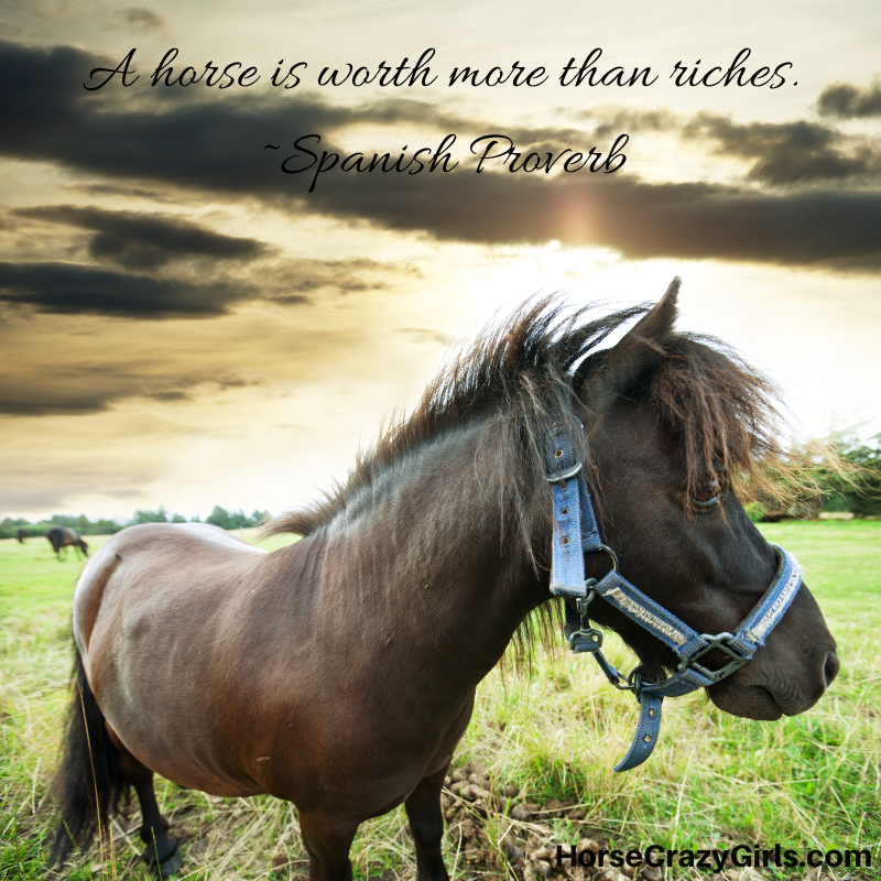 An image of a brown horse on a field with the quote 