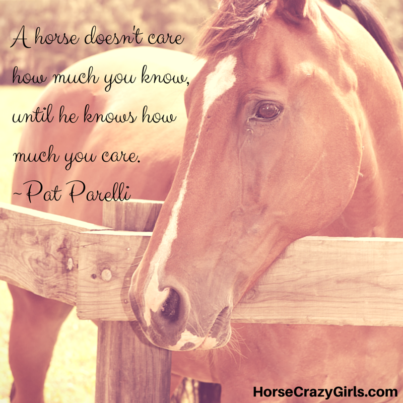 A horse standing at the fence with the quote "A horse doesn't care how much you know, until he knows how much you care." - Pat Parelli