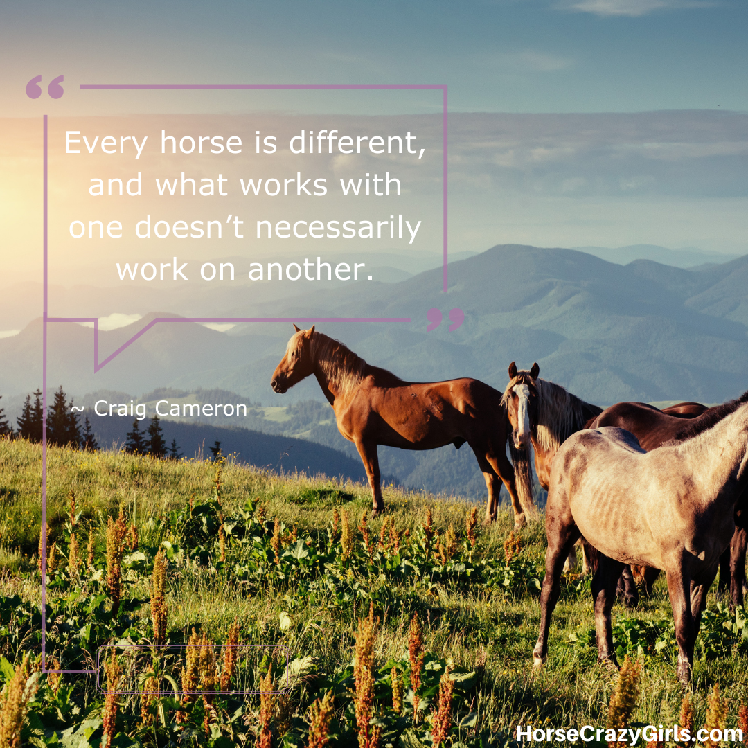 An image of three horses in a field with the quote “Every horse is different, and what works with one doesn’t necessarily work on another.” ~Craig Cameron
