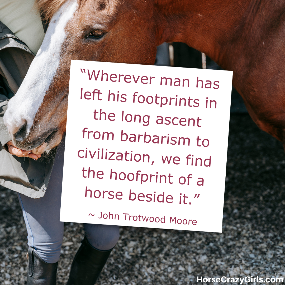A closuep image of a horse with the quote “Wherever man has left his footprints in the long ascent from barbarism to civilization, we find the hoofprint of a horse beside it.” ~John Trotwood Moore